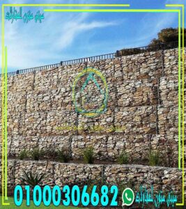 جيبونات دبش جيبونات دبش